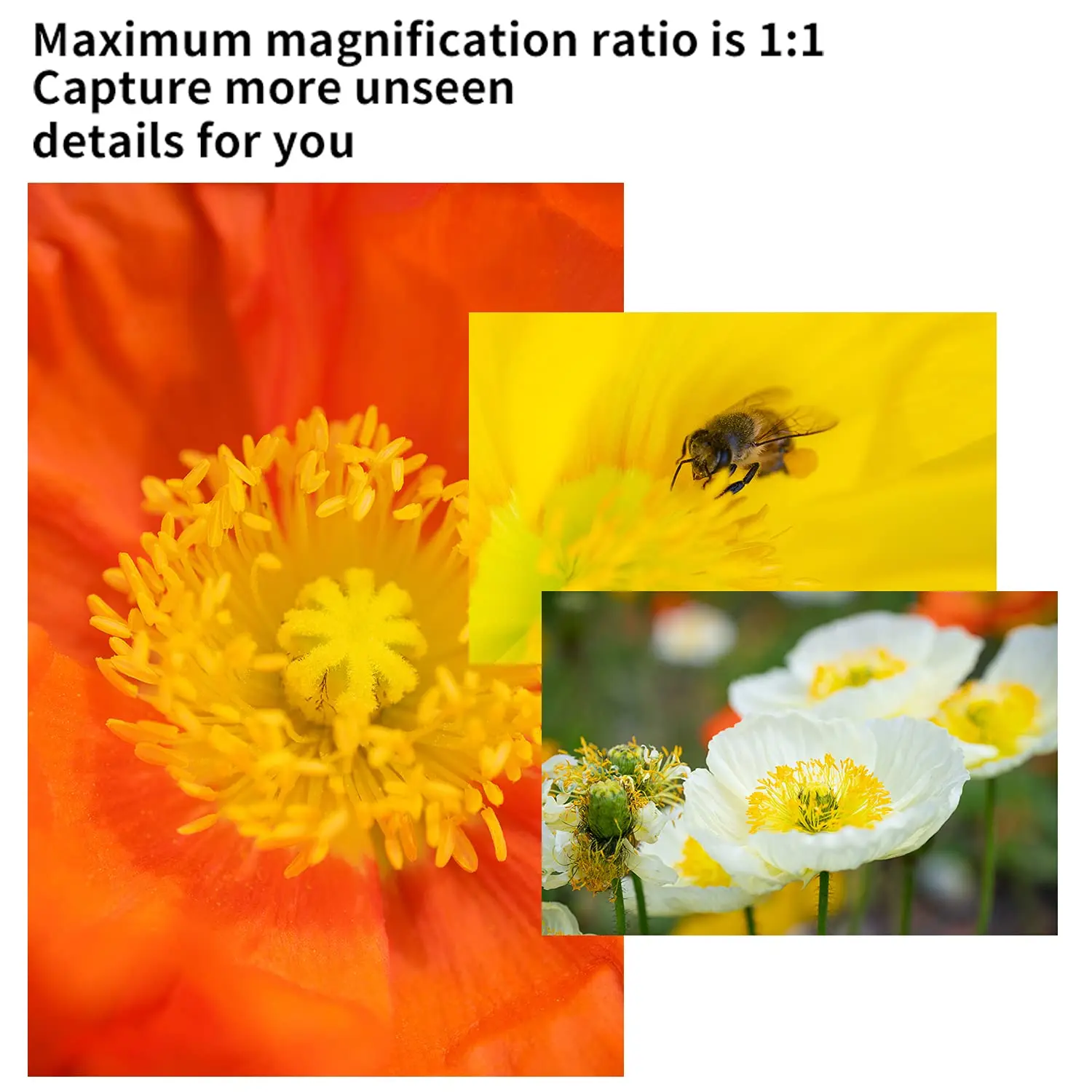 7artisans 60 мм F2.8 II Объектив для камеры MF APS-C Макрообъектив Sony E Для Nikon Z50 Canon EF-M RF R6 M4/3 L