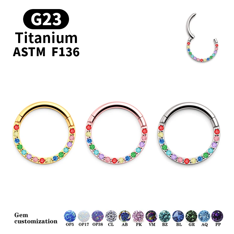 

1 Pcs G23 Titanium 16 Grams Front Inlaid Rainbow CZ Hinge Spacing Ring Nose Ring Small Nasal Septum Cartilage Earrings Piercing