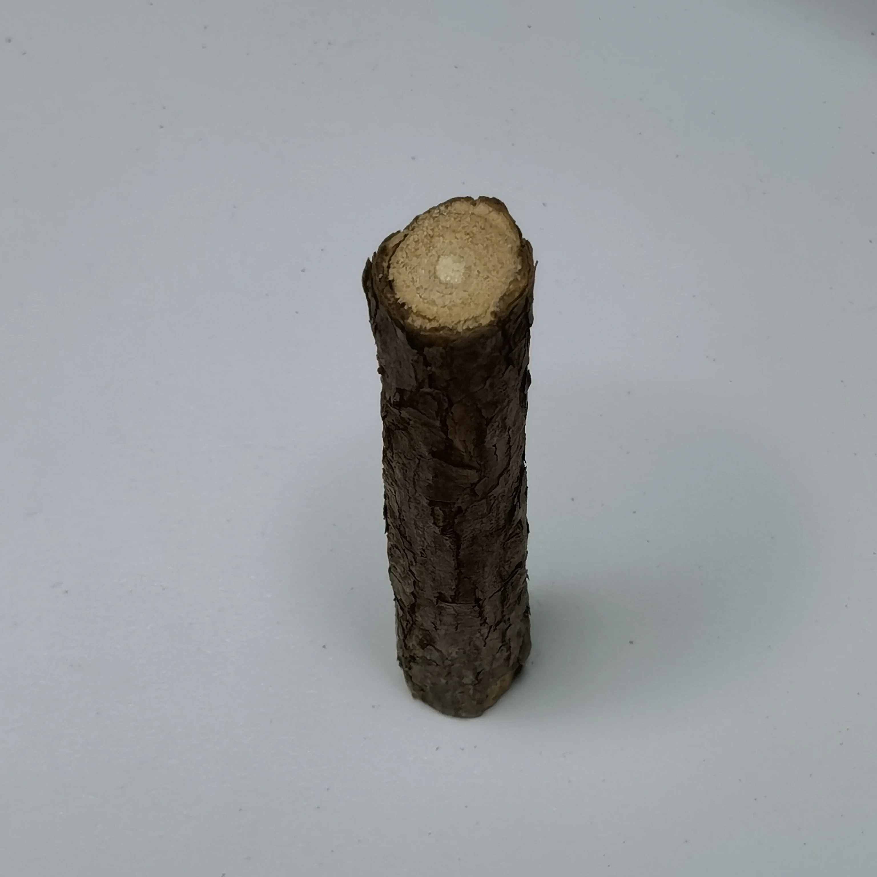 1950 г игрушки для кошек палочки из кошачьей мяты натуральные мататаби серебряная