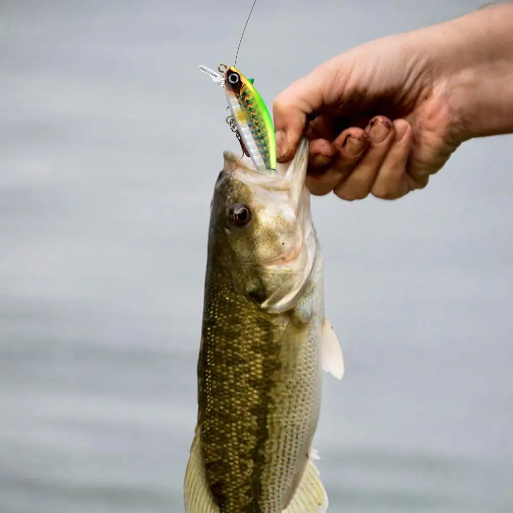 

Fishing Lure Bait Simulation Potable Prevent Escape Outdoor Fishing Lure Trout Pike Bass Tackle Fake Bait Fishing Tools