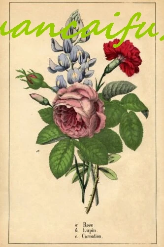 SJKY Роза Люпин и Гвознация Букет цветов Художественное изображение металлический