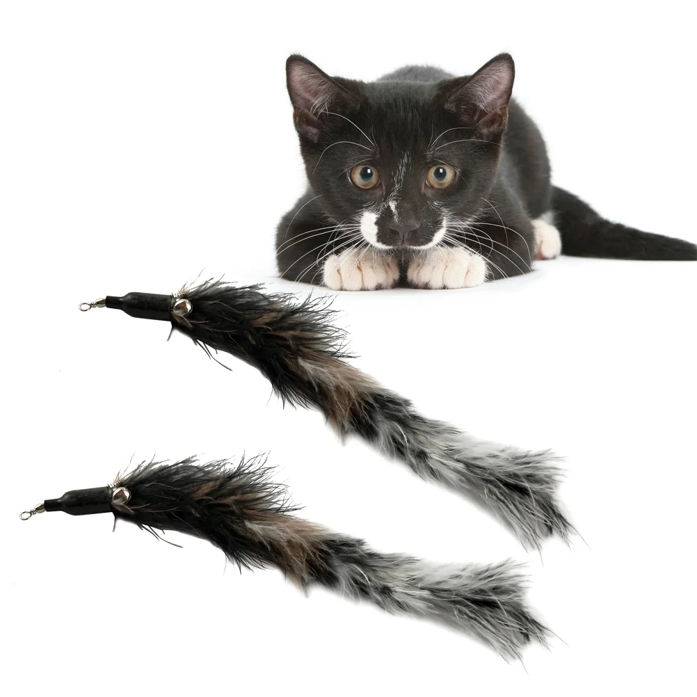 

Cat Toyswand Catsteaser Replacement Indoorinteractive Kitten Catch Refills Fishing Pole Refill Kitty Stick Wheel Exerciser Wands