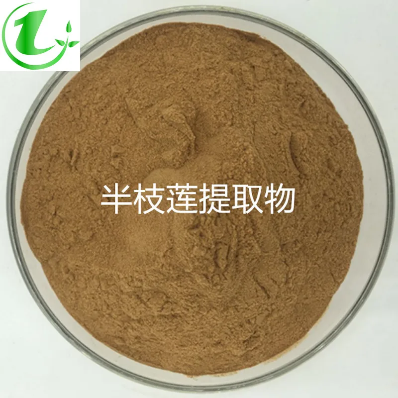 

Scutellaria Barbata Extract 20:1 Wild Banzhilian; Powder Scutellaria Barbata Concentrate Powder