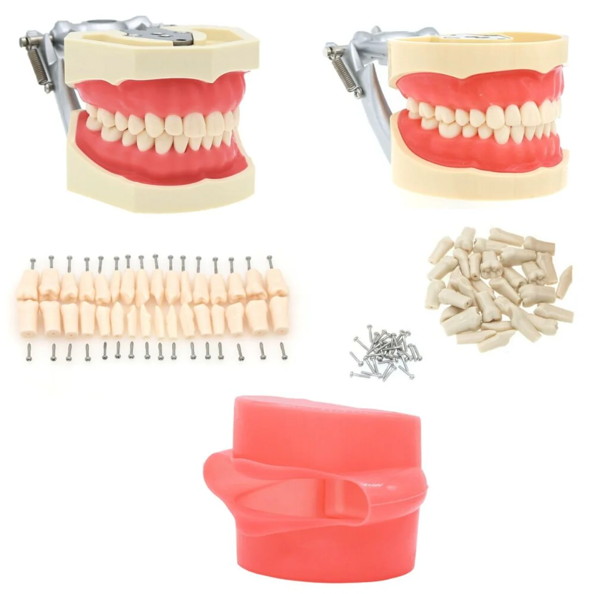 

США зубная модель типоне со съемными ввинчиваемыми зубцами kilгор NISSIN 200/500