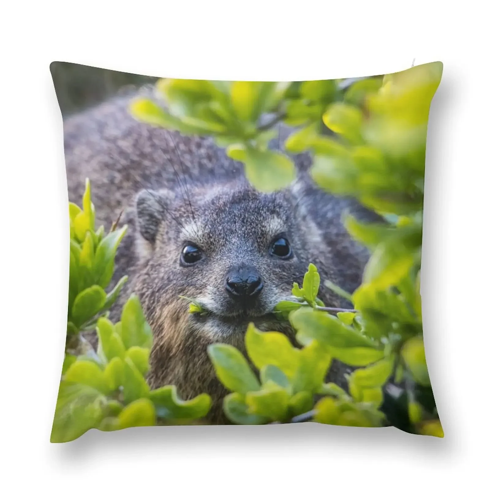 Накидка Hyrax on Boulders пляжная декоративная подушка аниме рождественские украшения