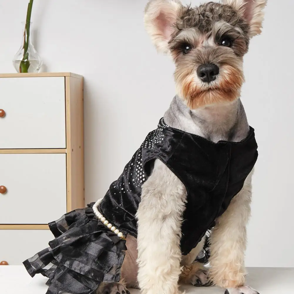 

Pet Skirt Cozy Cupcake Skirt Comfortable Lace Black Type Comfy Dog Clothes for Home Wear Dog Dress Dog Dress