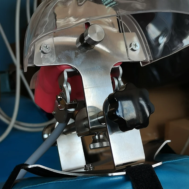 Стоматологическая лампа с зубами для обучения стоматологии модель стоматолога