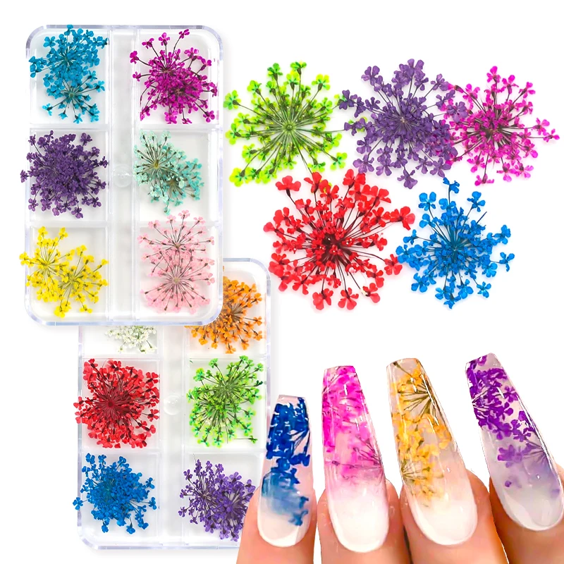 12Pcs/box 3D Dried Flowers Nail Art Decorations Real Dried Flower Stickers DIY Manicure Charms Designs For Nails Accessories
