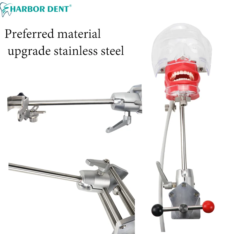 Стоматологическая фотоформа с 28 зубцами зажим настольного типа Фантом манекена