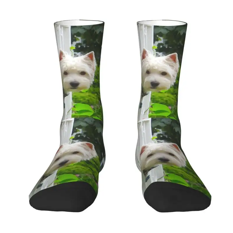 

Носки для мужчин West Highland White Terrier, классные носки унисекс с 3D-принтом для домашних животных