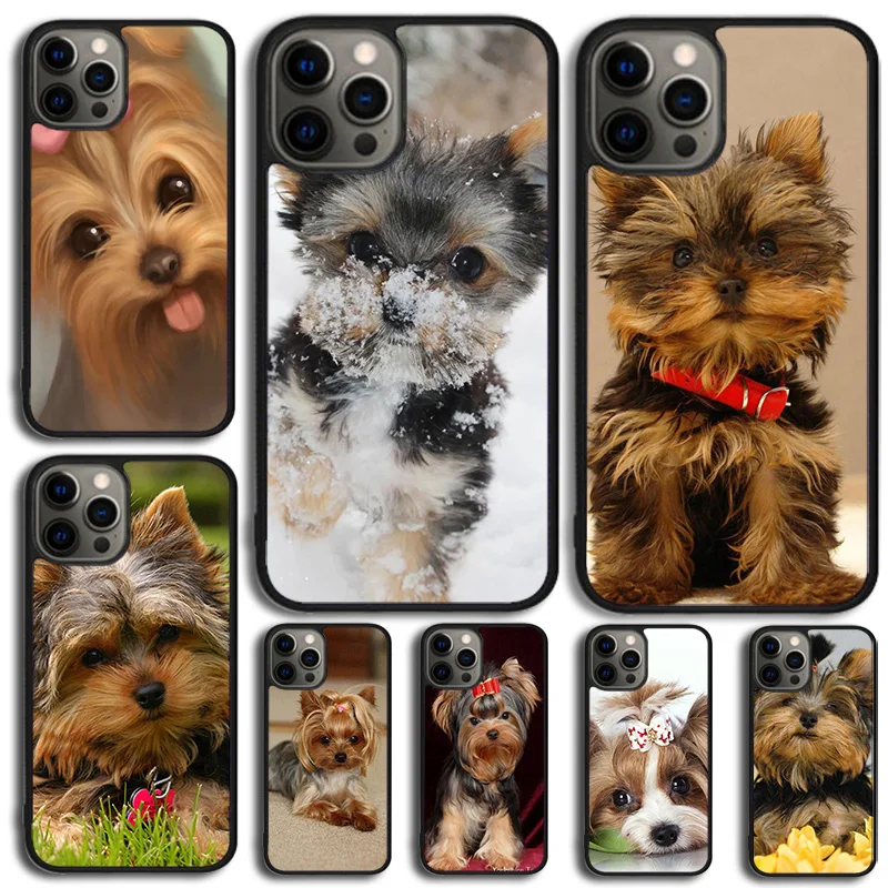 Mini Yorkshire Terrier Phone Case For Apple 11 Pro Max 6 8 7 Plus SE2020 Coque iPhone 14 15 16 13 12 Cover
