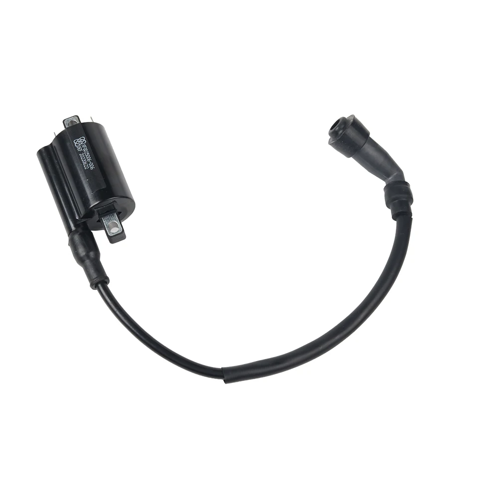 Катушка зажигания двигателя 12 В катушка высокого давления для 50 куб. См 70 110 125 150 200