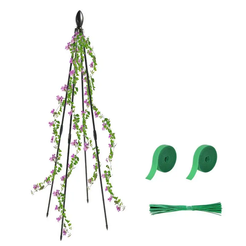 

Plant Climbing Supports Plant Trellis For Garden Conical Shape Design Plant Climbing Aid Tool For Roses Ivy Clematis And