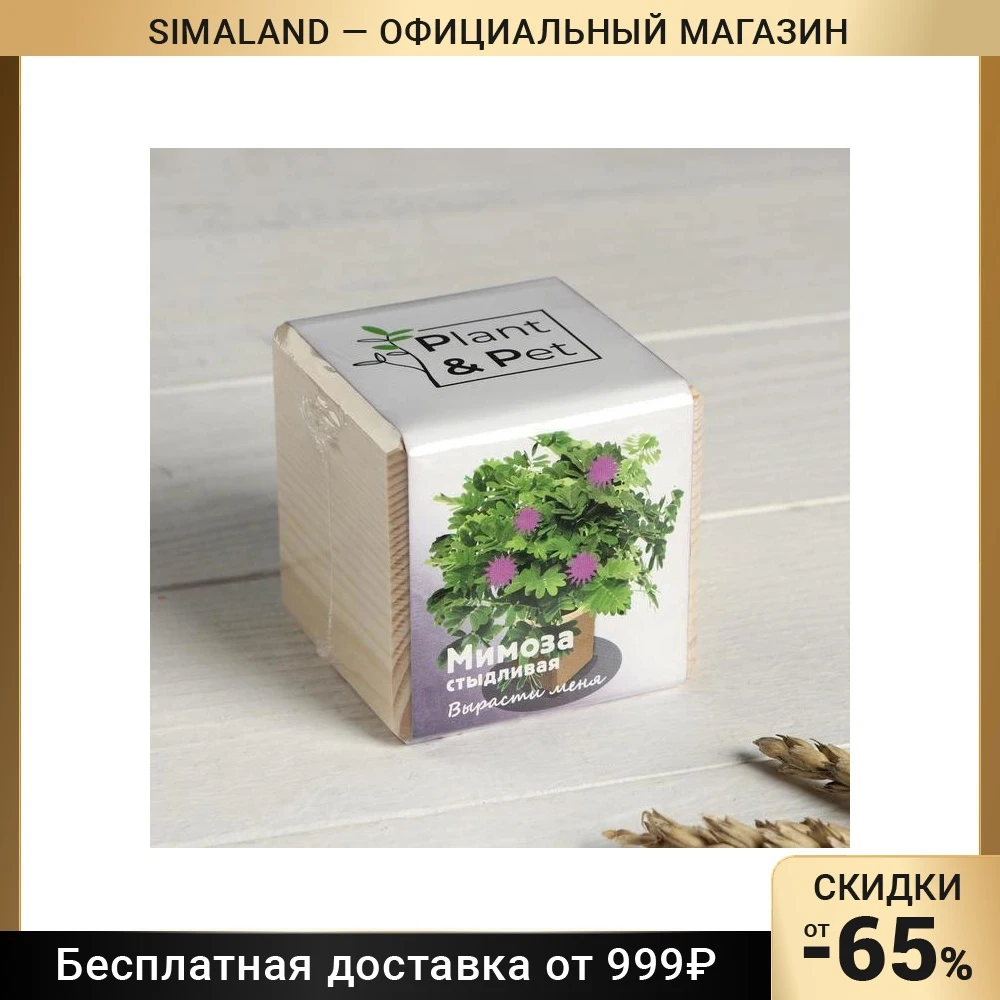 Набор для выращивания P&ampP &quotМимоза стыдливая&quot 5149936