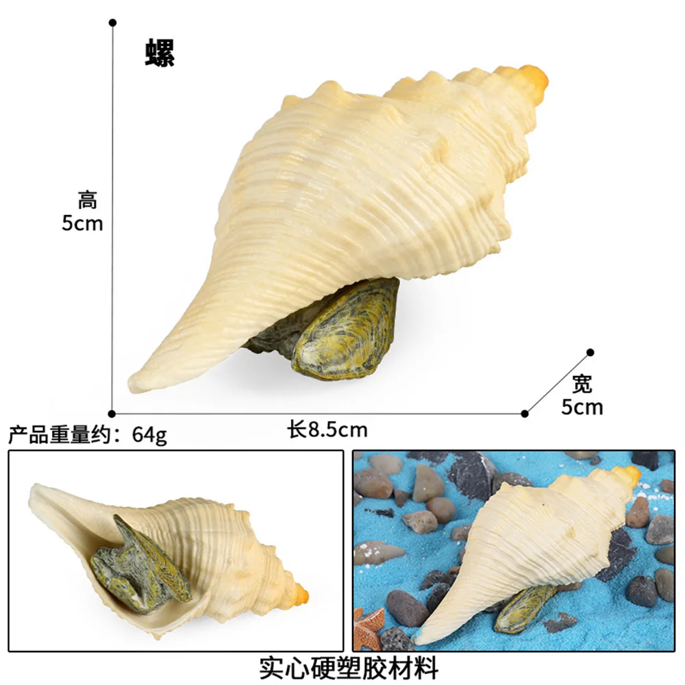 

Simulated Conch Shells Scallop Seashell Model Ocean Animal Figurines Sea Life For Beach Theme Party Children's Gifts
