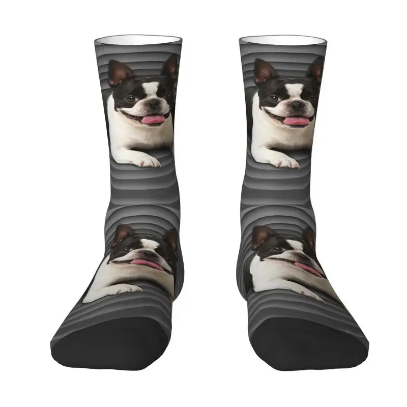 

Модные носки Boston Terrier с принтом для женщин и мужчин, эластичные летние осенне-зимние милые носки для выпускного щенка