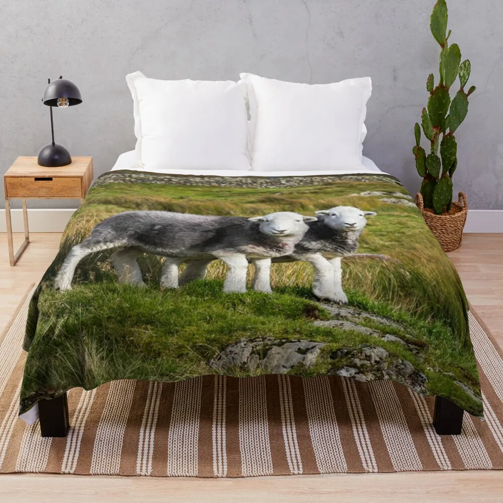 

Animals Gray Sheep Green Grass Flannel Throw Blanket for Bed Sofa Couch Blanket King Queen Full Size Super Soft Warm Lightweight