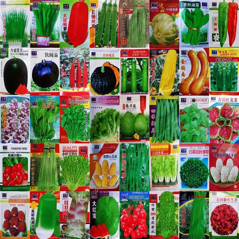 150 видов разных овощей без ГМО здоровые овощи Punkin помидор перец капуста бобы
