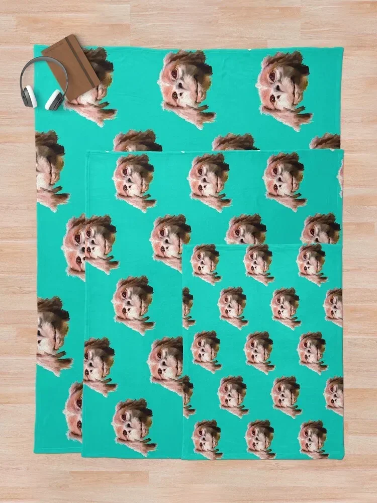 Falkor a Дракон Удачи высококачественное одеяло милые винтажные одеяла в клетку