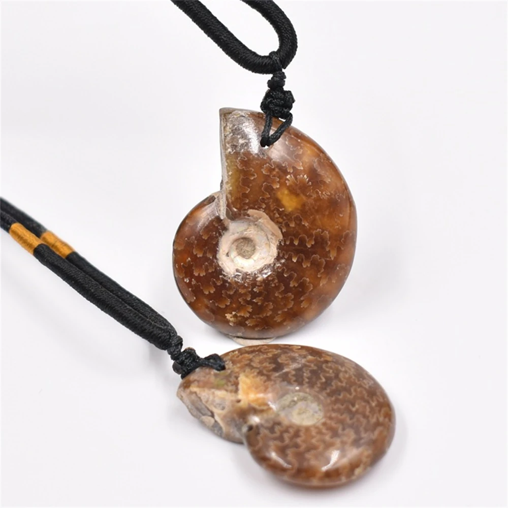 

1 шт. мадагаскарский пятнистый раковина полированный нефритовый узор аммонит ископаемый кулон Улитка ожерелье образец натуральные камни и ...