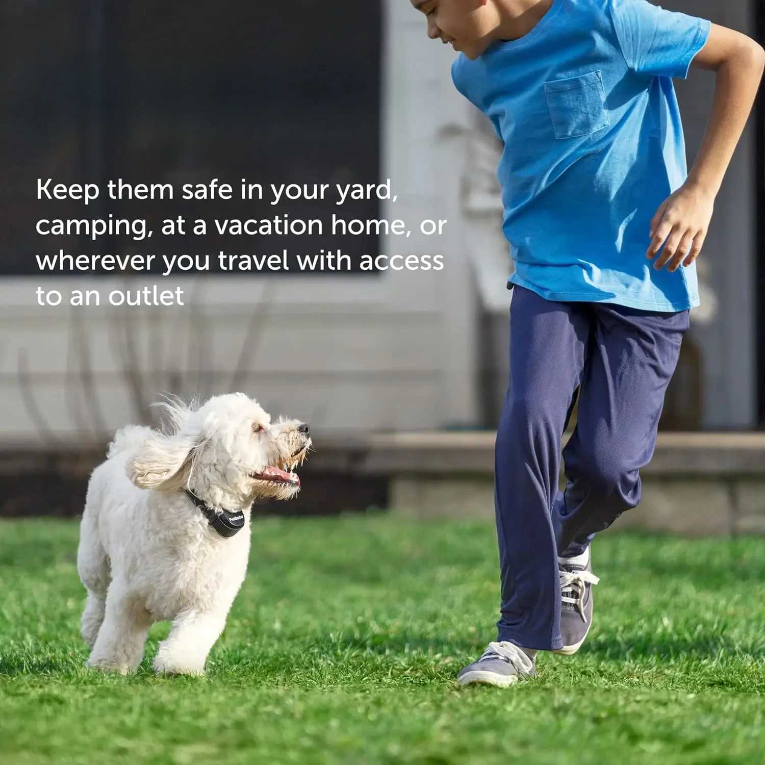 PetSafe-беспроводной забор для домашних животных Сменный колпачок аккумулятора