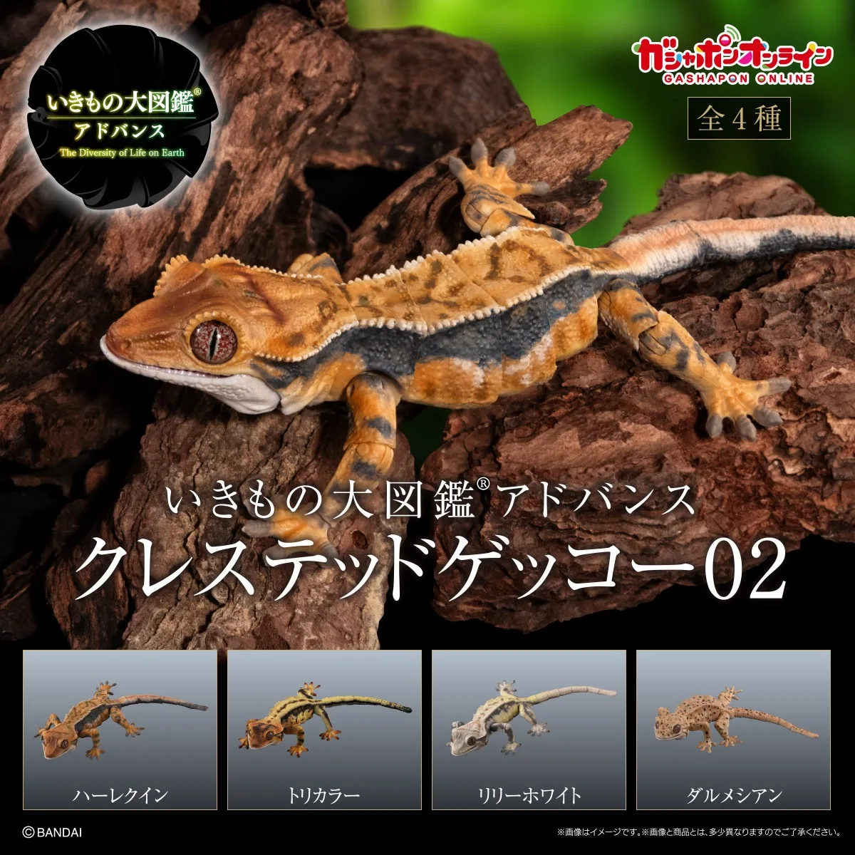 Bandai Gashapon биографическая энциклопедия фигурки Gecko 02 Имитация животных подвижные