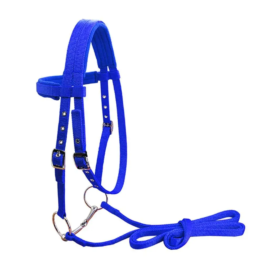 

Horse Bridle Rein Harness Headstalls Removable Snaffle Nylon Webbing Blue M