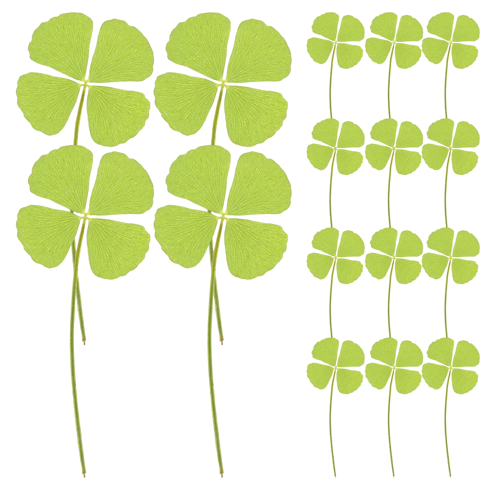 

24pcs Natural Pressed Dried Flowers Four- Leaf Leaf Four- Leaf Clovers Real Dried Pressed Flowers Dried Pressed Flowers for