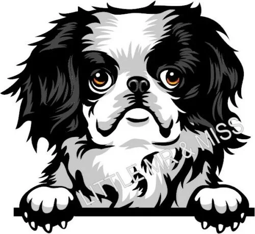 

For JAPANESE CHIN Peeking Dog Breed Color Window Laptop Wall Sticker w/proof