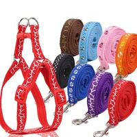pet nylon dog strap adjustable explosion proof punch dog cat leash set outdoor walking dog rope small chihuahua accessories