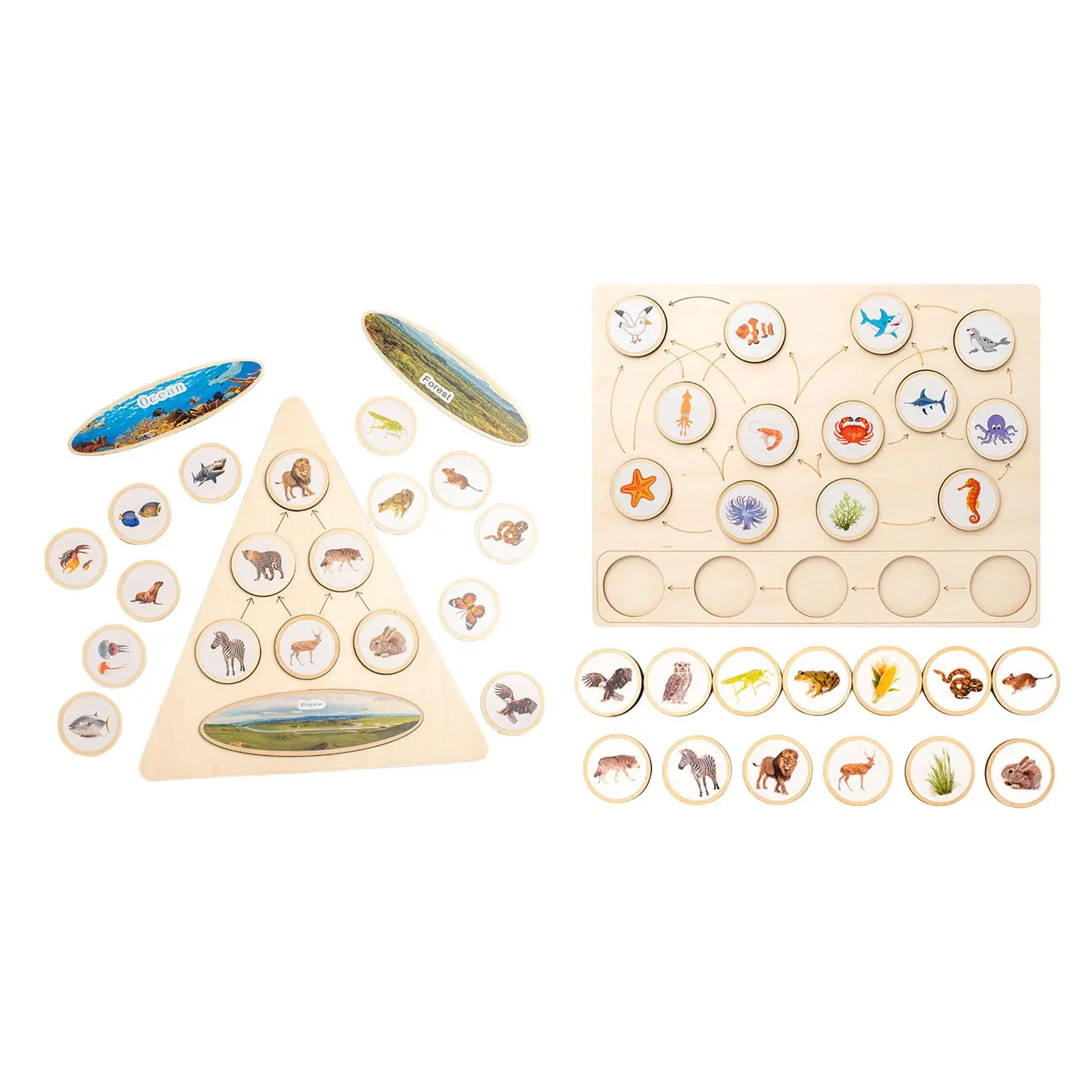 

Life Cycle Puzzle Kit Education Matching Game for Infant Children Boys Girls