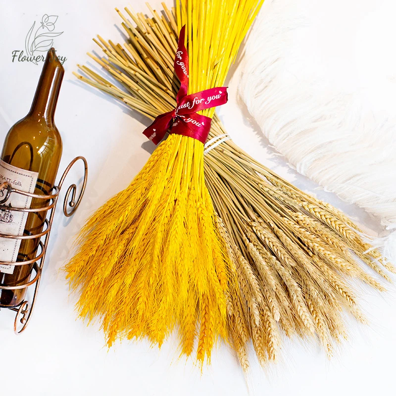 

Natural Dry Flowers Wheat Ear Preserved Grass Bouquet Nordic Home Garden Decor DIY Wedding Table Christmas Business Decoration