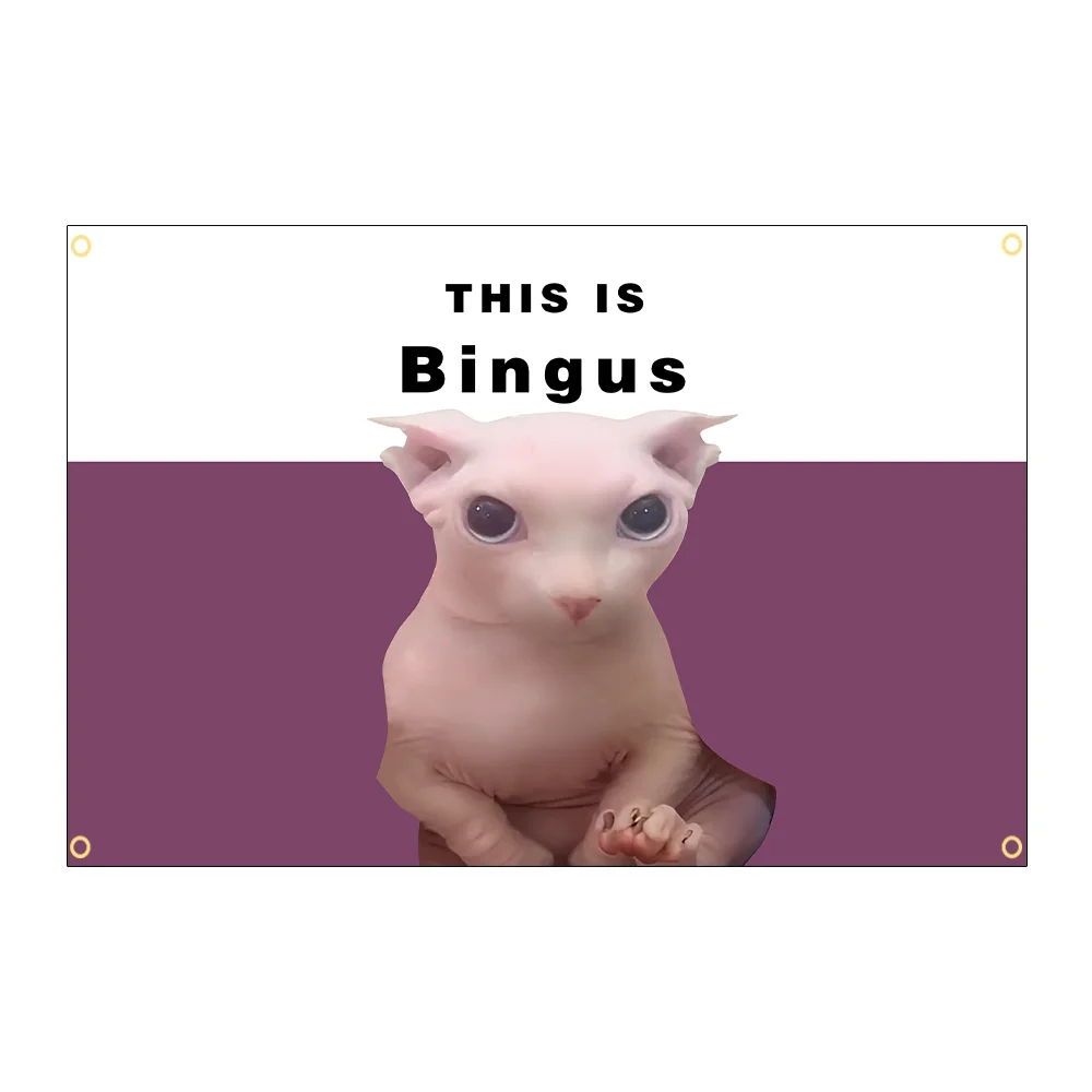 3jflag 90x150 см это флаг Bingus украшение интерьера баннер гобелен