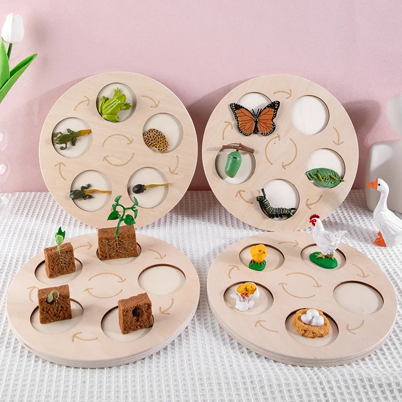 

Babies Wooden Montessori Toys Animal Life Growth Cycle Kids Educational Science And Cognitive Simulated Insects Animal Models