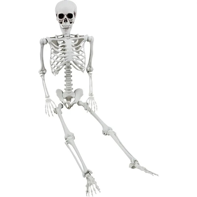 

XONOR 5.4ft/165cm Halloween Skeleton - Halloween Human Skeletons Full Body Bones with Movable Joints