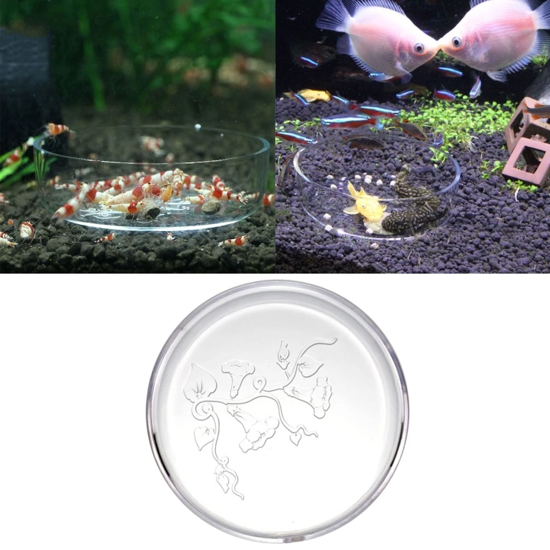 

Fish Tank Clear Feeding Bowl Food Bowl Freshwater Tray Feeder Reptiles Fish Feeder Bowlfor Fish Tank Shrimp Y5GB
