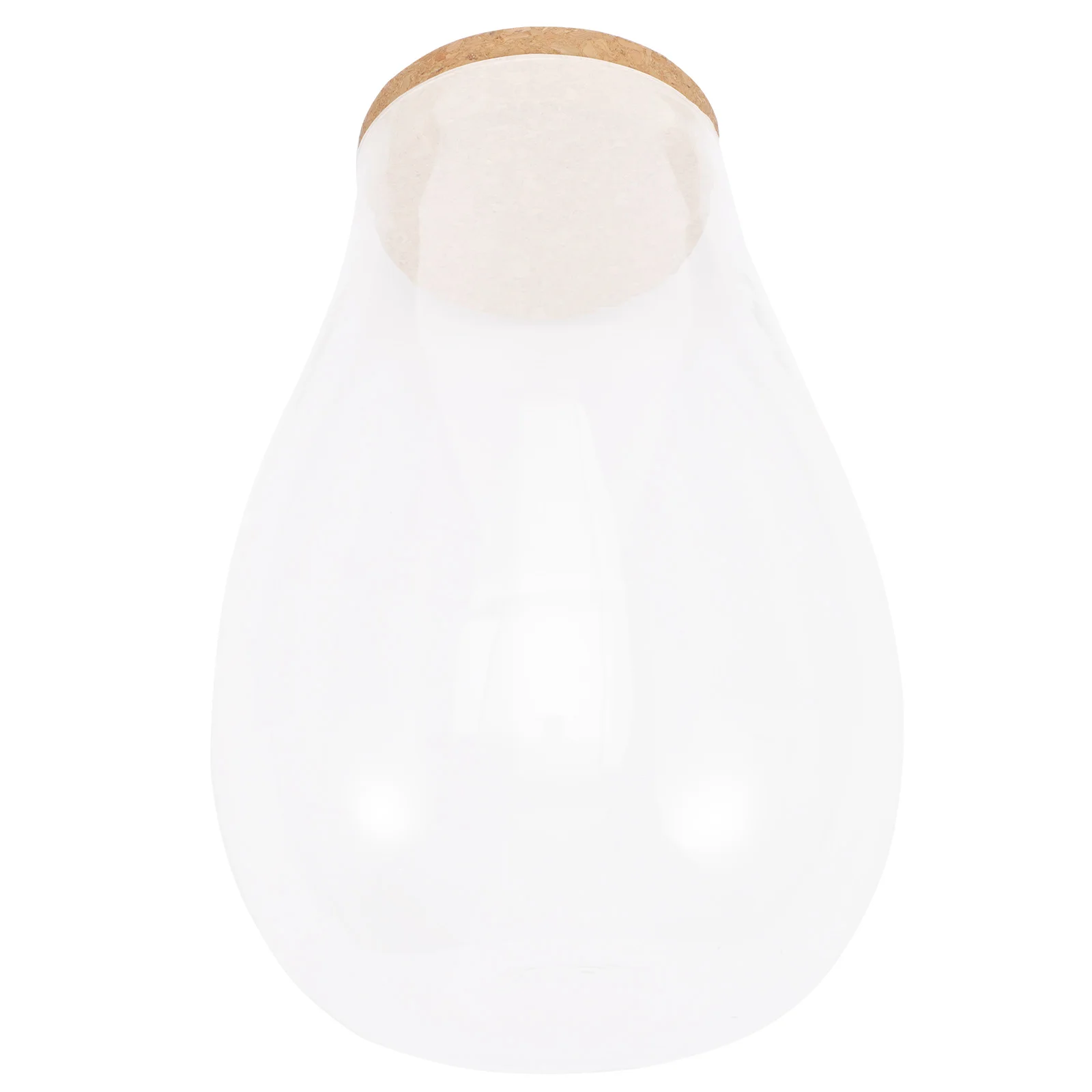 Micro Landscape Ecological Bottle Terrarium Jar Large Bell Case Plant Hydroponic Glass