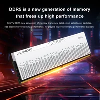 Оперативная память JUHOR DDR5 (32 ГБ)#2