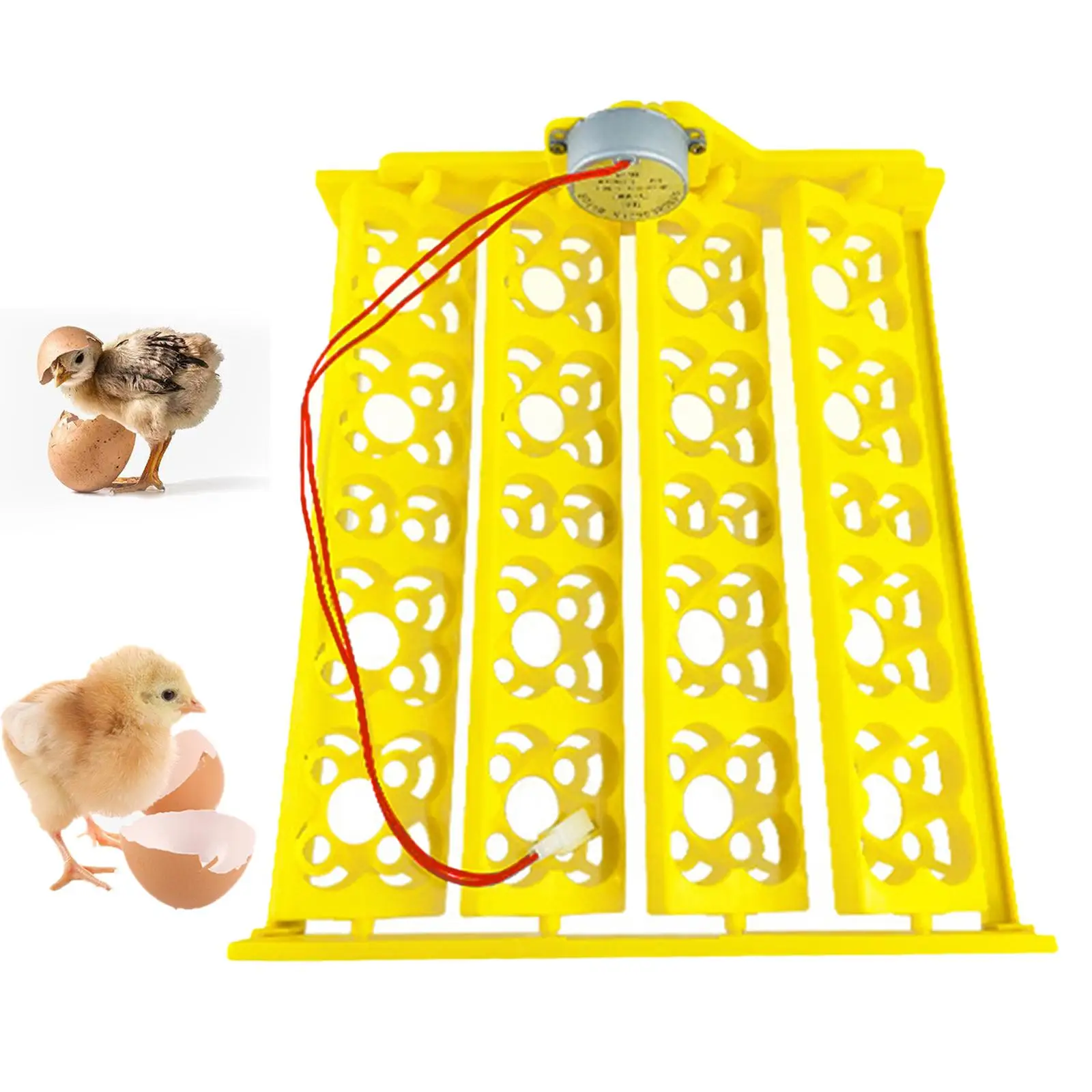 

Automatic Egg Incubator Tray Egg Turner Tray Hatching for Quail Duck Birds