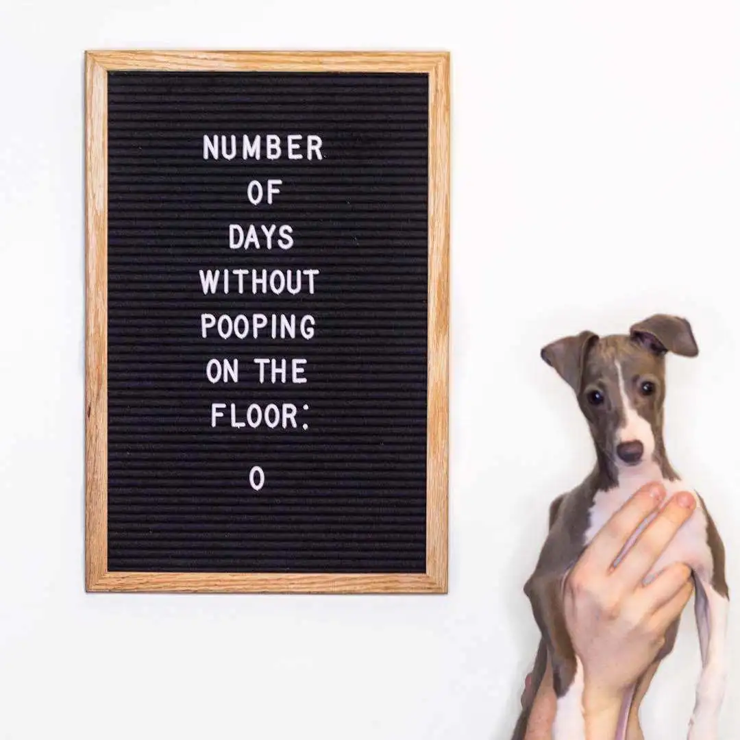 

Фетровая доска с надписью Ins ручной работы, доска с войлочными надписями, деревянная рамка для фотографий, реквизит, 460 карт