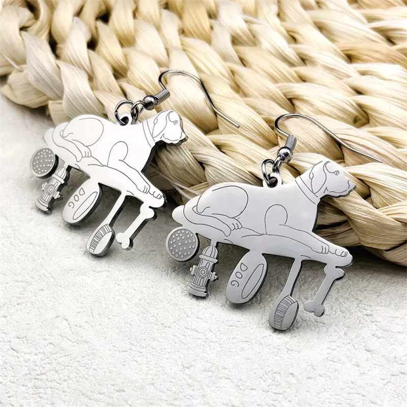 Серьги-подвески для женщин и мужчин из нержавеющей стали серебристого цвета