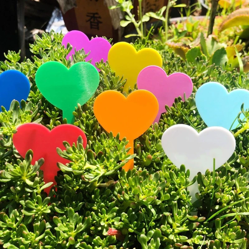 

100Pcs Plastic Plant Labels Colorful T-Type Garden Stake Tags Waterproof Plants Markers for Outdoor Indoor 3in x 1.8in