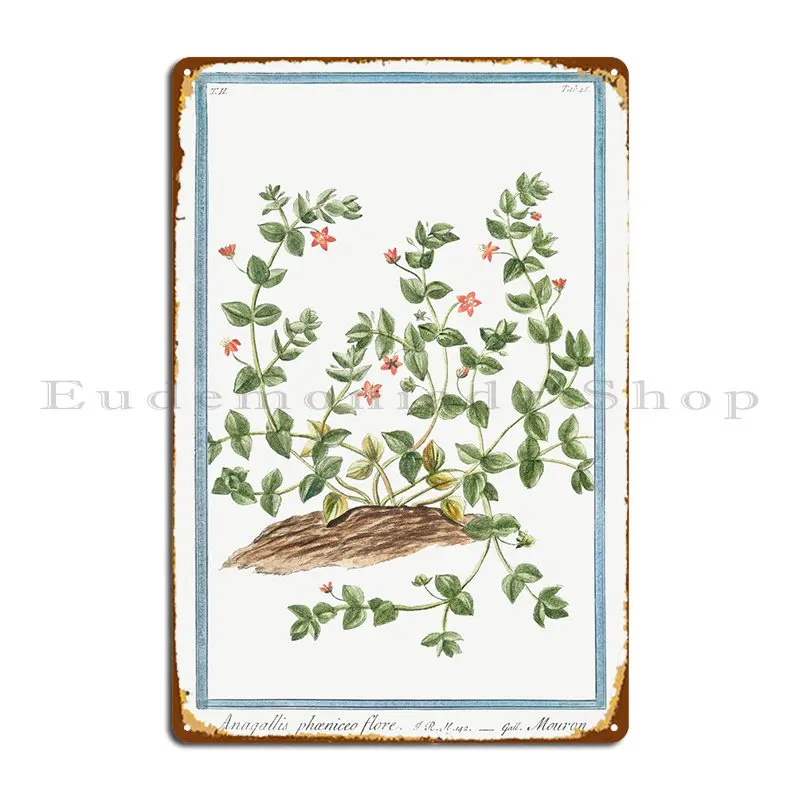 Anagallis Arvensis фотографический металлический знак ржавый Ретро паб дизайнерский