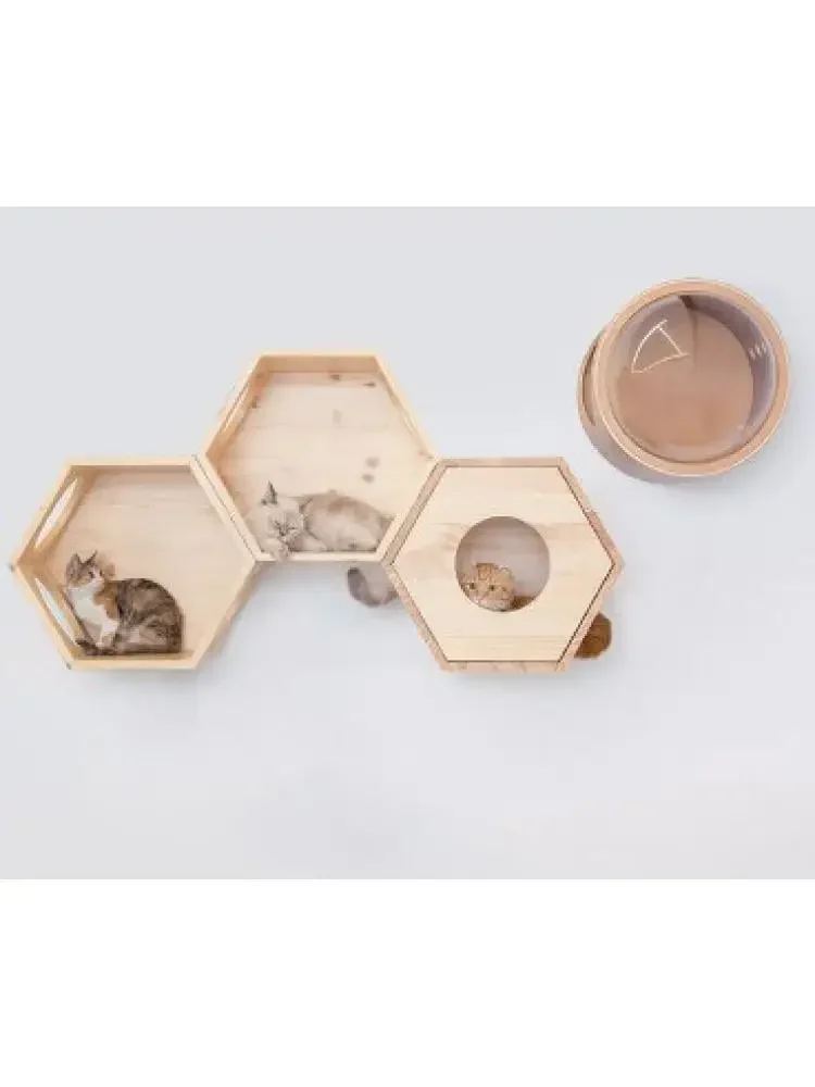 Treo Tường Chắn Cát Leo Khung Mèo Nền xhợp Hợp Tạo