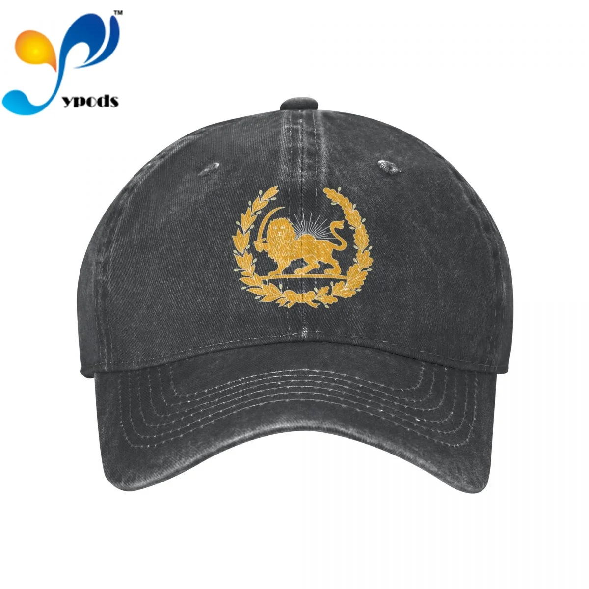 

Persia Iran Persepolis Tehran Denim Baseball cap Snapback Hats Autumn Summer Hat for Men Women Caps Casquette hats
