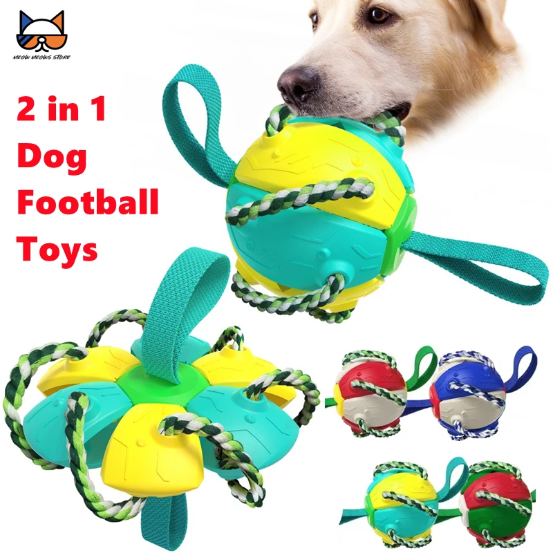 Agility Ball With Chew Ropes Play In Swimming Pool