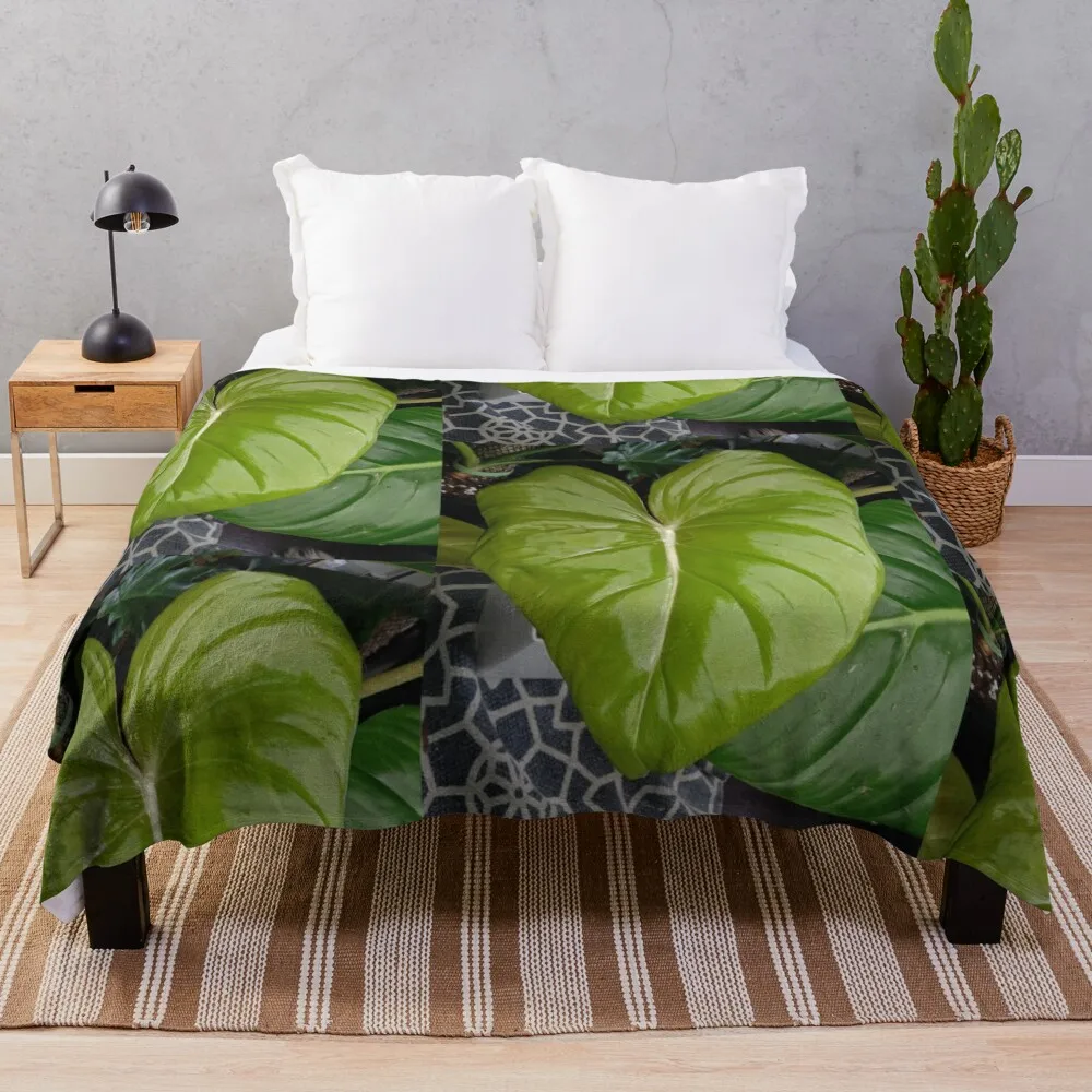 Одеяло Dean McDowell Philodendron роскошные одеяла St Thermals для путешествий