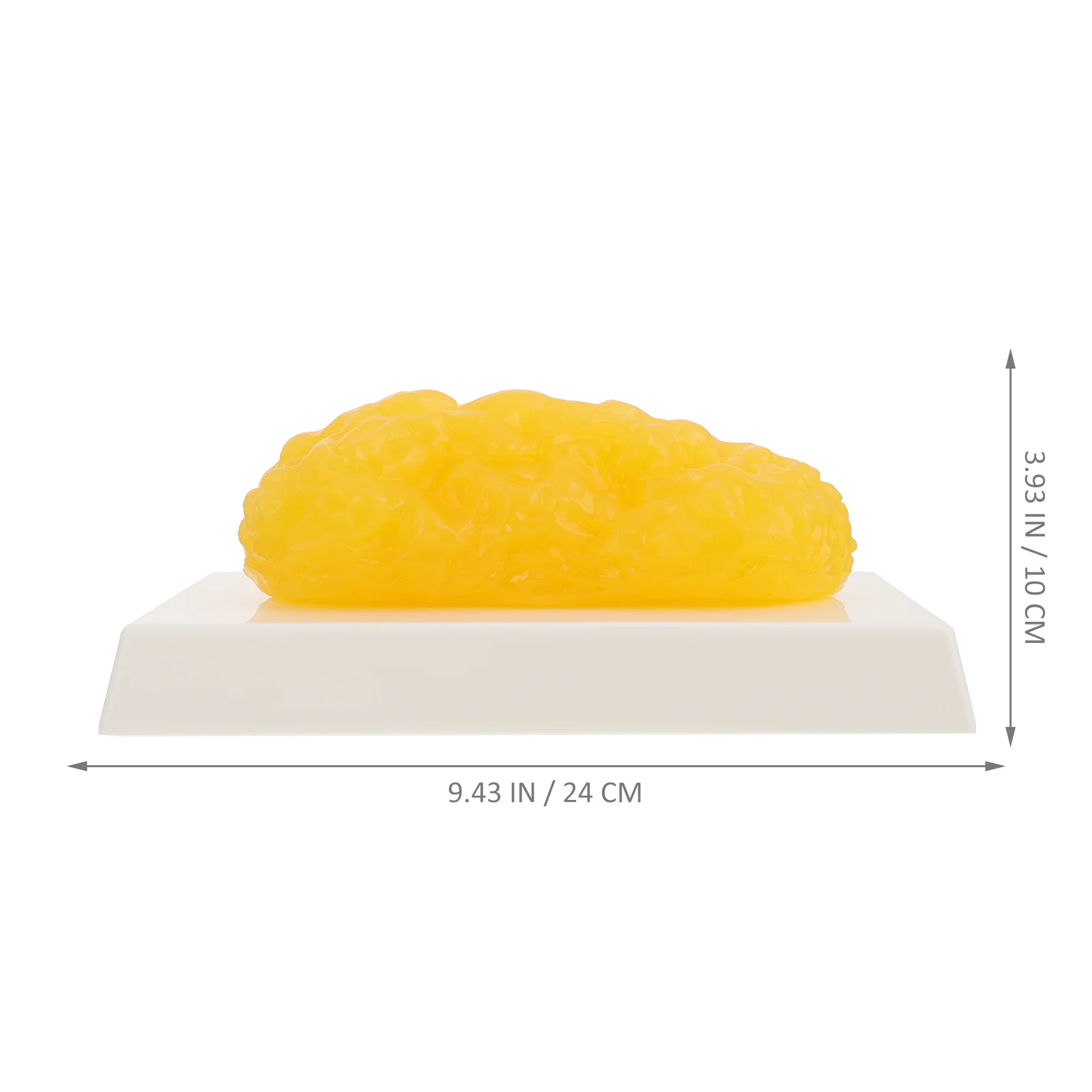 Демонстрационное устройство толстой модели 1-фунтовая пластиковая