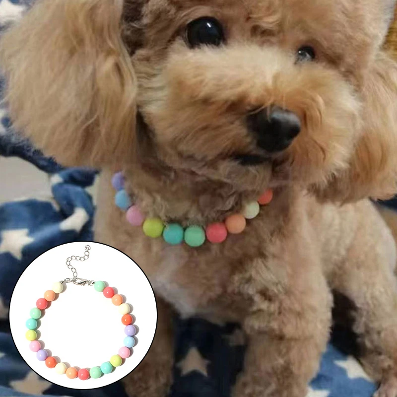 

Pet Dog Candy Color Pearl Necklace Collar Ornament For Female Dog Cat Small Medium Pet Puppy Teddy Jewelry Accessories