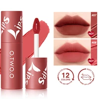 liquid lipstick lip gloss 12 colors waterproof long lasting high pigment lip tint velvet lip glaze matte lipstick makeup